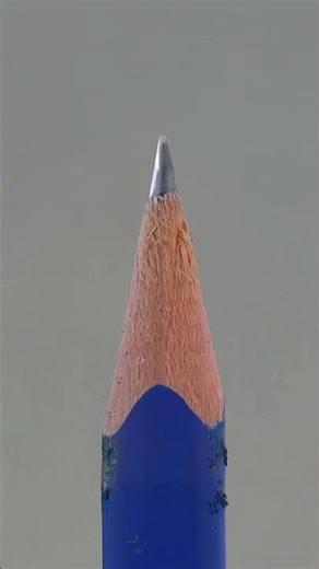 Exploring the Micro and Macro Worlds. #Science #Education #CuriosityLab #Learn #DIYScience