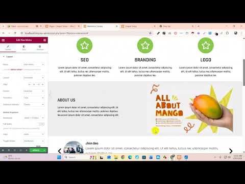 Elementor 3
