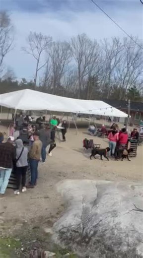 1.6K views · 68 reactions | Yesterday was epic thankyou everyone that helped us celebrate 9 years of Funky Bow! What a Ride! We’ll be wrapping up our B- day weekend today on Mother’s Day with 808 on stage and we”ll be giving potted plants to all the Moms today- Hoppy Mothers Day all you moms#mothersday | The Bow | Facebook