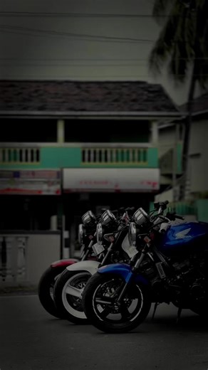 Explore the Honda Hornet 250cc: Japanese Motoring Delight