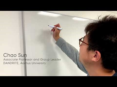 Explaining the super-resolution method "DNA Paint" by Group Leader Chao Sun