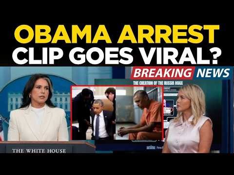 US Breaking News LIVE: 'obama arrest clip goes viral?' Tulsi Gabbard And Karoline Big Reveal | LIVE