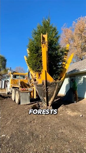 🌱🤖 THIS MACHINE PLANTS TREES BY ITSELF 😱 #shorts #environment #tree