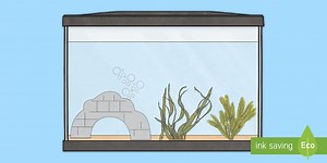 Fish Tank Cut-Out
