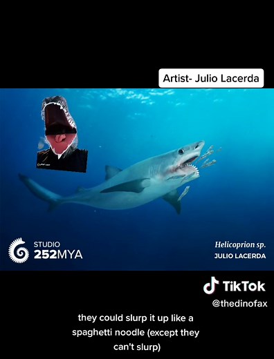 Mysterious Helicoprion Fish: A Closer Look