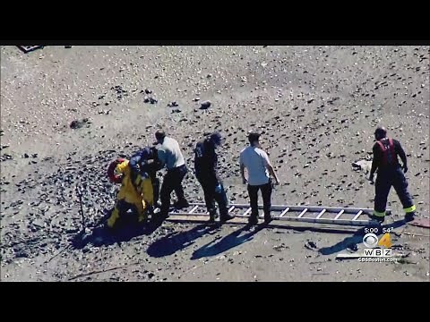 Firefighters Rescue Woman And Dog Stuck In Mud In East Boston