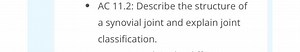AC 11.2: Describe the structure of a synovial joint and explain... | Filo