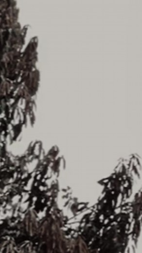 Team Ghost Riders on TikTok