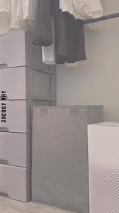 Cats Being Cats | Jacoby Ray