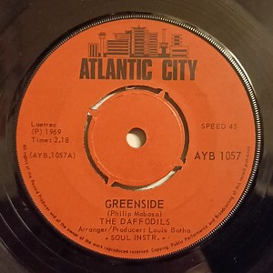 The Daffodils - Greenside