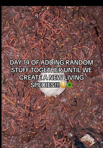 Creating a New Living Species: Day 14 Adventures