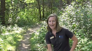 Check out some of the upcoming programs at Springbrook Nature Center! | City of Fridley