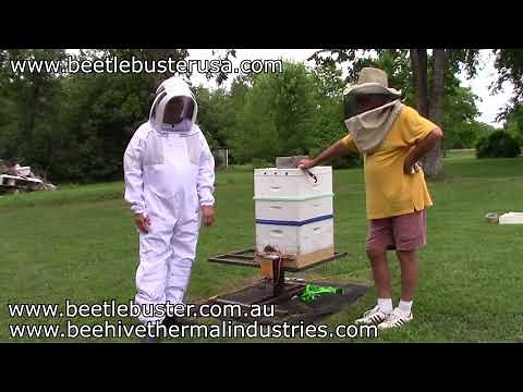 Ultimate Chemical Free Varroa Mite and Small Hive Beetle Eliminator!!!