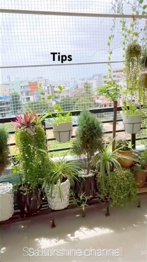 🔥Useful Gardening Tips And Tricks#plants#compost#balconygarden#hacks#shorts