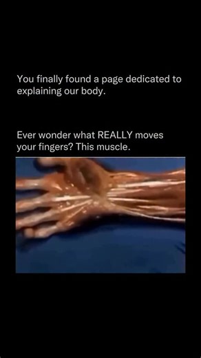 Explaining Our Body | Ever wondered why your body suddenly jerks right as you’re falling asleep? It’s one of the weirdest sensations — you’re drifting off, your... | Instagram