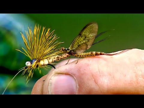 Oliver Edwards Ties his Masterclass Mohican Mayfly