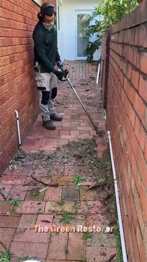 Pressure Washing | Cutting | Edging | Cleaning | Blowing | Trimming | Mowing #shorts #satisfying