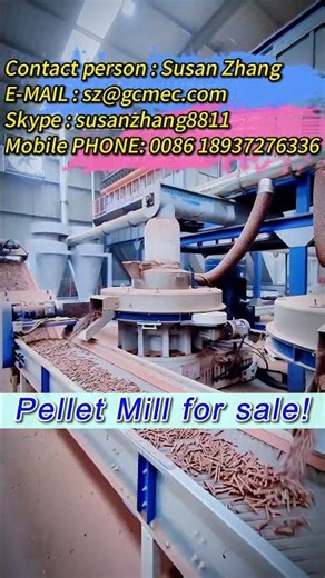 Biomass Wood Pellet Machine | Ring Die Pellet Mill for Sawdust Pellet Production