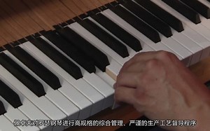 佩卓夫罗瑟产品介绍