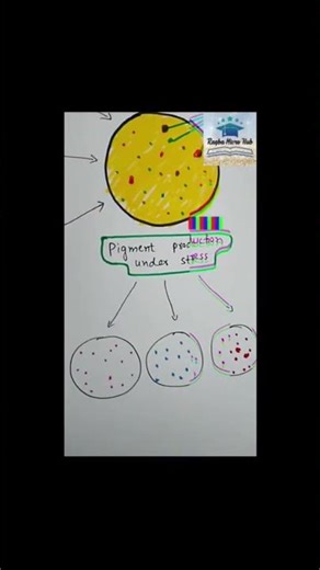 #strains #isolation #shorts #shomusbiology #trending #laboratory