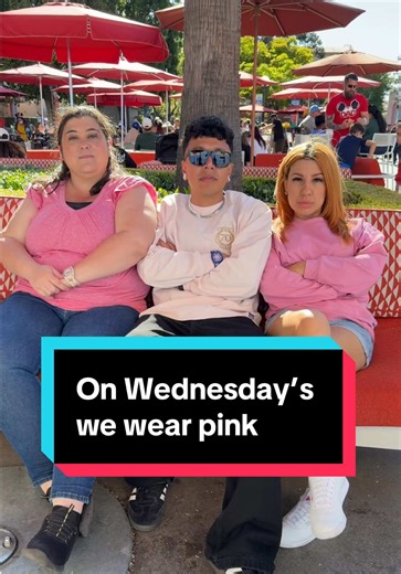On Wednesday we wear pink 🩷🩷🩷 #meangirls #onwednesdayswewearpink #youcantsitwithus #disneyland #disneyover30 @Mickey.with.the.minis @Monique ✨Custom Cakes @Kevin | Disneyland & More ✈️ @granados.xavier @Disney Parks