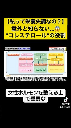 コレステロールと"ホルモン合成"の関係とは💁‍♂️💁‍♂️💁‍♂️