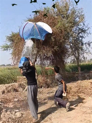Hunting for Wild Raven Nest Eggs: A Unique Adventure