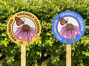 Butterfly Garden Sign: Pollinator-friendly Aluminum Wildflower Marker - Etsy