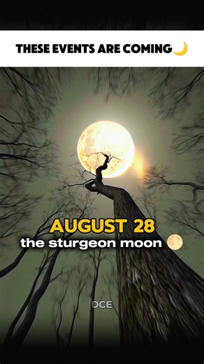 Upcoming Moon Events of 2026 🌕🌌#astronomy #moon #space