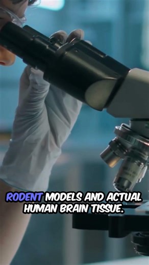 Scientists Discover Hidden Brain Cells That Remove Toxic Alzheimer’s Protein