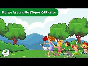 Plants Around Us Class 1 EVS | Types Of Plants Class 1