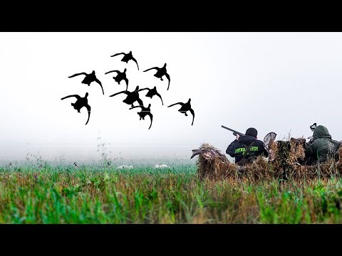 2 GUYS 32 BIRDS 6 FLOCKS! FIELD HUNTING DUCKS AND GEESE!