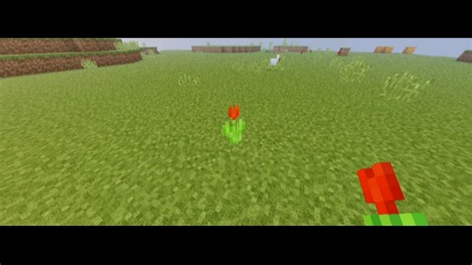 𝕿𝖎𝖒𝖊 𝕾𝖙𝖔𝖕