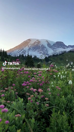 Visiting Mount Rainier National Park - A Bucket List Destination