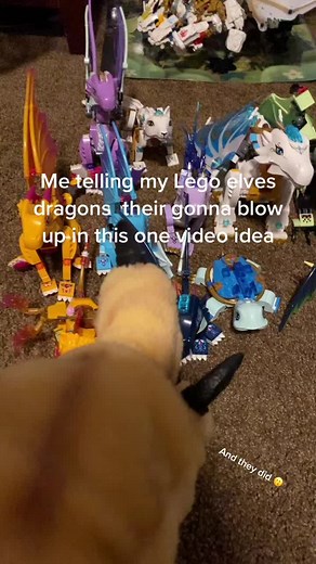 Lego Elves Dragon Pregnancy Announcement