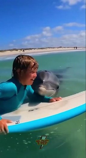 Baby Dolphin Saves Boy on Surfboard! 🐬👦🌊 #USA #UK #Dolphin #Viral
