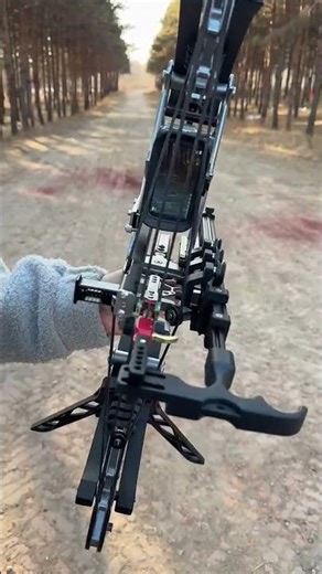 Perfect Shot! 🎯 #compoundbow #archerylife #bowhunting #archery #archerygear #huntingbow #outdoorgear