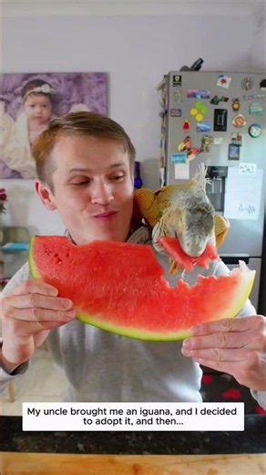 My uncle brought me an iguana, and I decided to adopt it, and then...