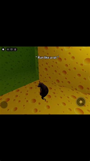 #rat #fyppppppppppppppppppppppp | a rat