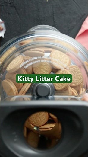 Seriously creep your friends out with this realistic kitty litter cake made with vanilla Oreos &more