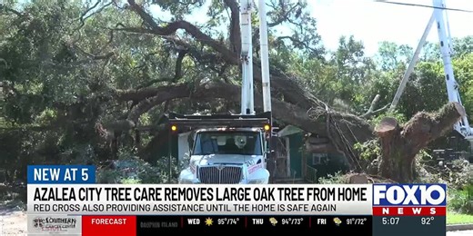 UPDATE: Local tree care companies remove tree off home of man with disabilities
