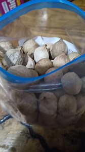 Hickory Nuts 2 Pounds - Etsy