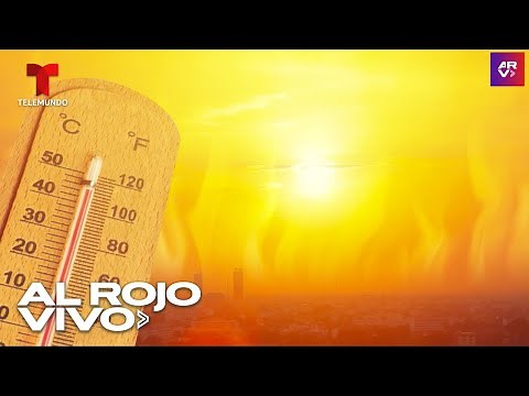 ¿Cómo afecta el calor extremo al ser humano? Expertos explican