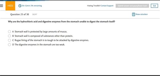 HESI A2 AP Exam Version 1- Latest Update - Etsy