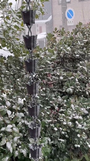 Traditional Japan, Frozen in Time (2026) ❄️