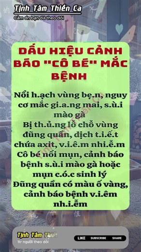 Tịnh Tâm Thiền Ca - Nhạc Thiền Chữa Lành Tâm Hồn, Giúp Ngủ Ngon Sâu