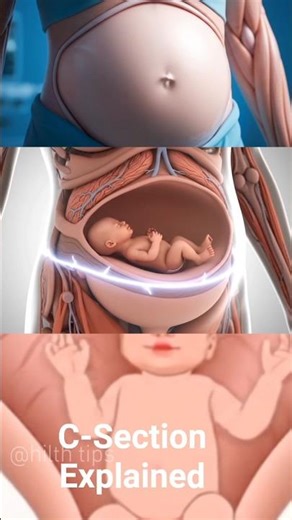 Baby Growing Inside the Womb 🤰 Amazing 3D Animation