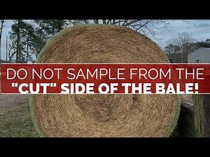 Forage and Hay sampling