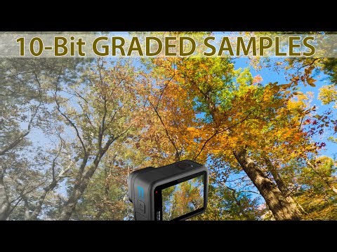 GoPro Hero 11 | SAMPLES of GRADED FLAT 10-Bit FOOTAGE