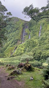 28K views · 7K reactions | Deep in the heart of Flores Island,...